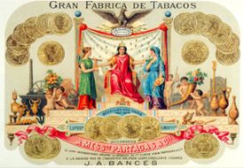 tabaco