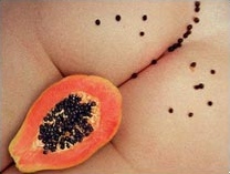 Papaya, foto de Pedro Portal