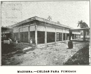 Mazorra