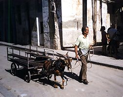 ¿Transporte público?