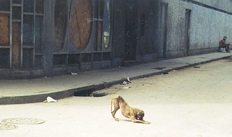 esquina de Consulado y Virtudes (ruinas del Teatro Musical)