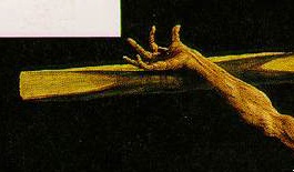 Matas Grunewald: Crucifixin (detalle)